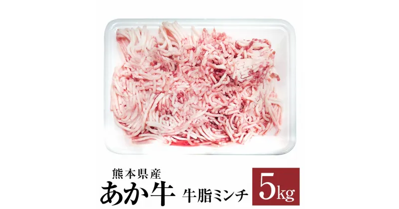 【ふるさと納税】あか牛 牛脂 ミンチ 5kg 肉 牛 牛肉 動物脂 脂身 炒めもの 煮込み 冷凍 熊本県 九州 送料無料