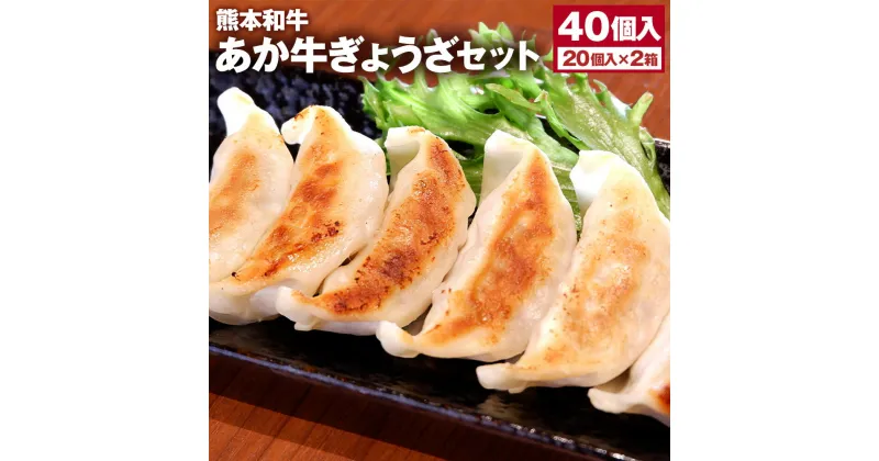 【ふるさと納税】熊本和牛 あか牛 ぎょうざセット（熊本あか牛餃子 20個入り×2箱）計40個 くまもとあか牛 赤牛 和牛 国産牛 牛肉 国産野菜 ぎょうざ ギョウザ ギョーザ 餃子 肉汁 冷凍餃子 中華 おかず 惣菜 簡単調理 国産 冷凍 お取り寄せグルメ 熊本県 西原村 送料無料