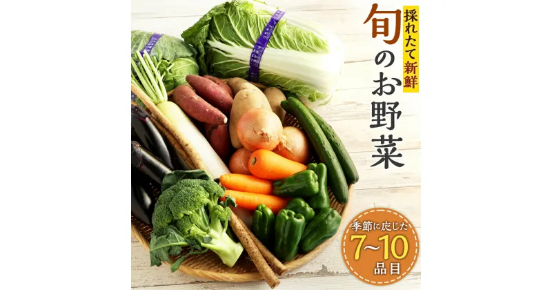 【ふるさと納税】生産者応援採れたて新鮮 旬のお野菜 詰め合わせセット 季節に応じた7～10品目の野菜 さつまいも 人参 ブロッコリー 白菜 じゃがいも ほうれん草 トマト 小松菜 たまねぎ きゅうり きのこ アスパラガス なす レンコン 大根 キャベツ レタス さといも 送料無料