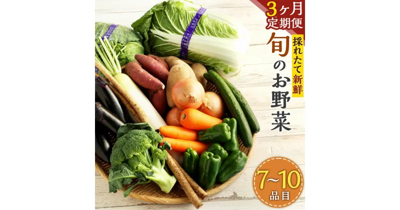 【ふるさと納税】【3ヶ月定期便】生産者応援採れたて新鮮 旬のお野菜 詰め合わせセット 季節に応じた7～10品目の野菜 さつまいも 人参 ブロッコリー 白菜 じゃがいも ほうれん草 トマト 小松菜 玉ねぎ きゅうり きのこ アスパラ なす レンコン 大根 キャベツ レタス 送料無料