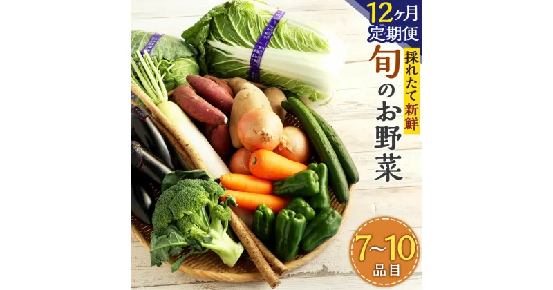 【ふるさと納税】【12ヶ月定期便】生産者応援採れたて新鮮旬のお野菜 詰め合わせセット 季節に応じた7～10品目の野菜 さつまいも 人参 ブロッコリー 白菜 じゃがいも ほうれん草 トマト 小松菜 玉ねぎ きゅうり きのこ アスパラ なす レンコン 大根 キャベツ レタス 送料無料