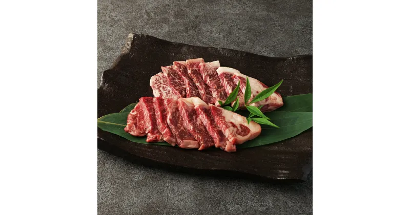 【ふるさと納税】阿蘇あか牛 サーロイン 約500g 100g×5袋 熊本県産 赤身 肉 お肉 牛肉 和牛 くまもとあか牛 赤牛 小分け パック 冷凍 国産 九州 熊本県 西原村 送料無料