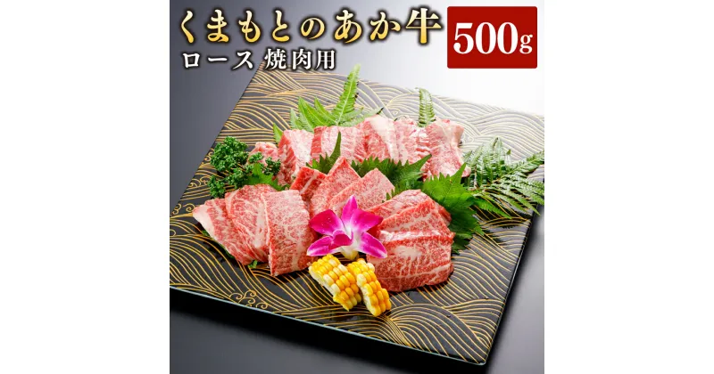 【ふるさと納税】 【GI認証】くまもとあか牛 ロース 焼肉用 約500g 赤牛 褐牛 あか牛 牛肉 肉 お肉 国産牛 和牛 国産牛肉 ロース肉 やきにく 焼き肉 焼肉 冷凍 お取り寄せ グルメ 九州 熊本県 西原村 送料無料 G59Q