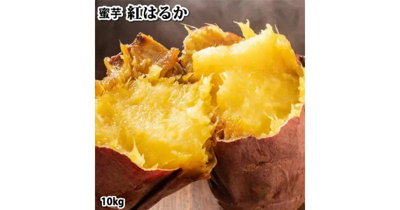 【ふるさと納税】さつまいも 紅はるか 秀品 10kg 西原村産 サツマイモ 紅蜜芋 芋 いも べにはるか 薩摩芋 10キロ 九州 国産 熊本県 西原村 送料無料【2024年6月下旬まで発送予定】