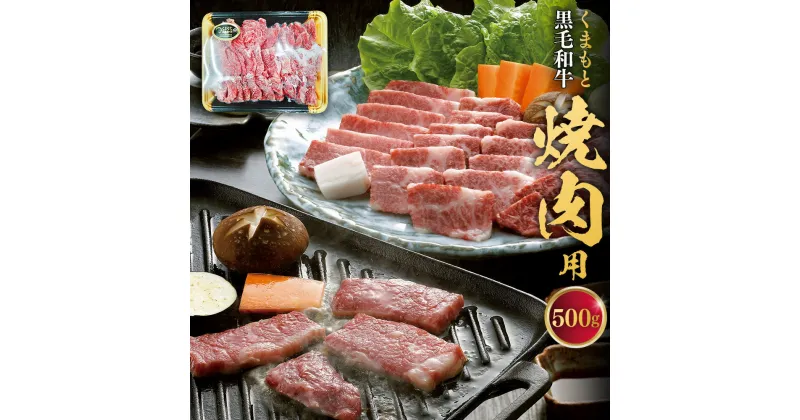 【ふるさと納税】くまもと黒毛和牛 焼肉用 約500g 黒毛和牛 和牛 牛肉 肉 お肉 国産牛 国産牛肉 焼肉 やきにく 焼き肉 BBQ バーベキュー お取り寄せグルメ 冷凍 国産 九州 熊本県 西原村 送料無料