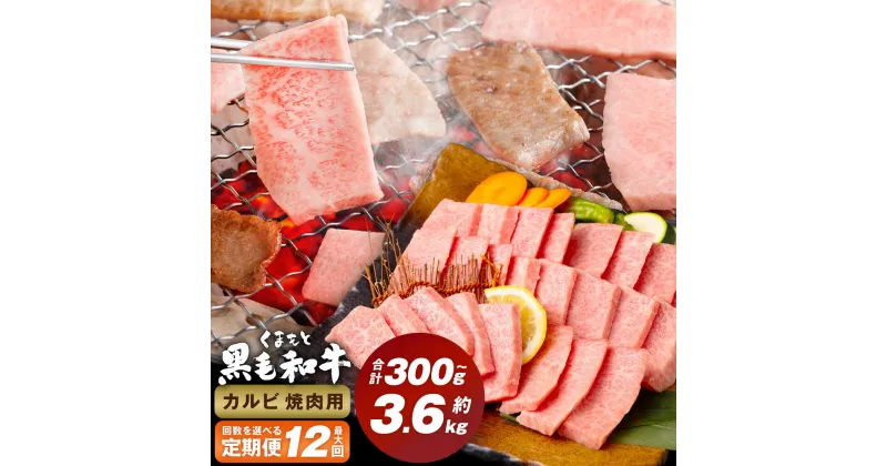 【ふるさと納税】＜選べる定期便＞くまもと黒毛和牛 カルビ 焼肉 1回300g 計600g～3.6kg 焼肉用 牛肉 肉 お肉 BBQ バーベキュー 焼き肉 和牛 国産 九州 冷凍 熊本県 西原村 送料無料