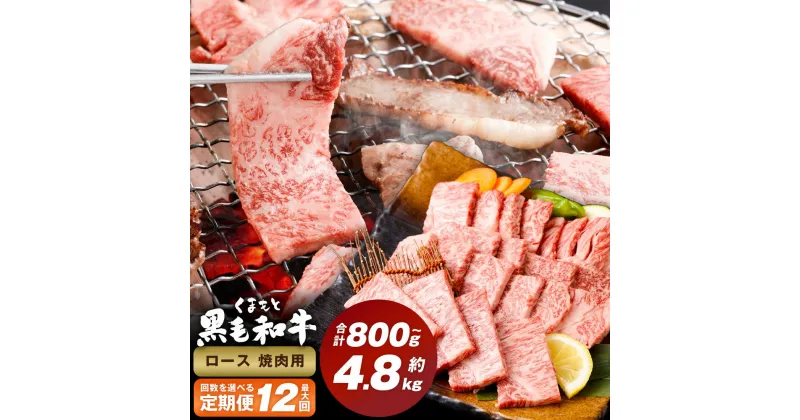 【ふるさと納税】＜選べる定期便＞くまもと黒毛和牛 ロース 焼肉 1回400g 計800g～4.8kg 焼肉用 牛肉 肉 お肉 BBQ バーベキュー 焼き肉 和牛 国産 九州 冷凍 熊本県 西原村 送料無料