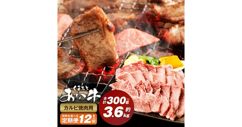 【ふるさと納税】＜選べる定期便＞くまもとあか牛 カルビ焼肉 1回300g 計600g～3.6kg 牛肉 お肉 肉 あか牛 褐毛和牛 和牛 焼肉 焼き肉 パック 冷凍 熊本県産 国産 九州 熊本県 西原村 送料無料