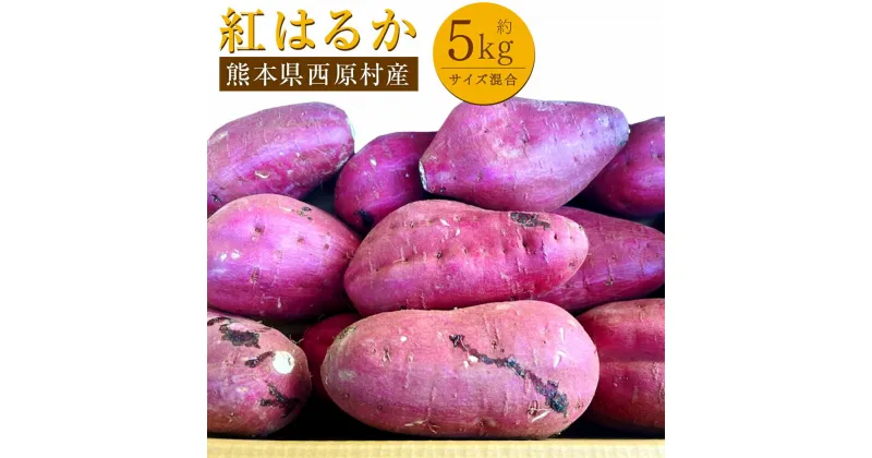 【ふるさと納税】紅はるか 約5kg 大・中・小サイズ混合 べにはるか さつまいも サツマイモ 芋 焼き芋 野菜 熊本県産 西原村 送料無料【2024年11月下旬～2025年5月上旬発送予定】