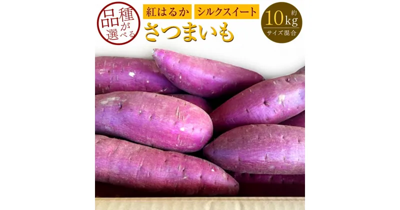 【ふるさと納税】品種が選べる 紅はるか シルクスイート 約10kg 大・中・小サイズ混合 べにはるか さつまいも サツマイモ 芋 焼き芋 野菜 熊本県産 西原村 送料無料【2024年11月下旬～2025年5月上旬発送予定】