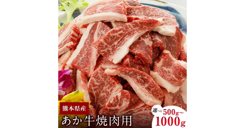 【ふるさと納税】肥後のあか牛（熊本県産）焼肉用 500g 1000g 南阿蘇食品 《90日以内に出荷予定(土日祝除く)》 熊本県 南阿蘇村