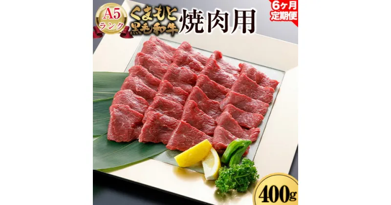 【ふるさと納税】6ヶ月定期便 A5ランク くまもと黒毛和牛 焼肉用 400g (計6回お届け×400g 合計2.4kg) 《お申込み月の翌月から出荷開始》 南阿蘇食品