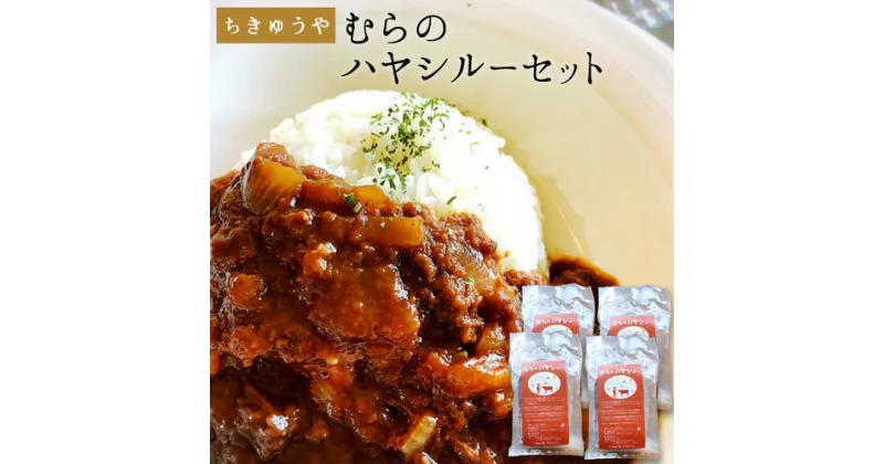 【ふるさと納税】ちきゅうや「むらのハヤシルー」 200g×4食 セット 計800g 《30日以内に出荷予定(土日祝除く)》 熊本県 南阿蘇村 送料無料 ハヤシルー