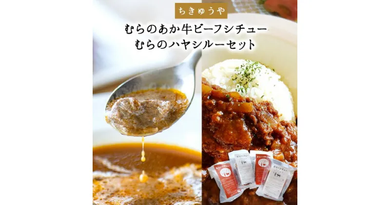 【ふるさと納税】ちきゅうや「むらのあか牛ビーフシチュー×2」と「むらのハヤシルー×2」4食セット《30日以内に出荷予定(土日祝除く)》 熊本県南阿蘇村 ハヤシルー ビーフシチュー