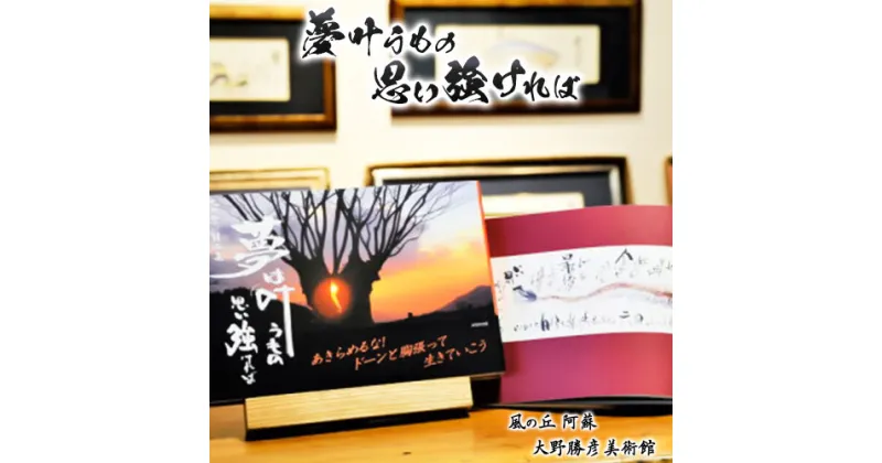 【ふるさと納税】大野勝彦＜2018年発行＞詩画集『夢叶うもの 思い強ければ』風の丘阿蘇大野勝彦美術館《60日以内に出荷予定(土日祝を除く)》美術館 詩