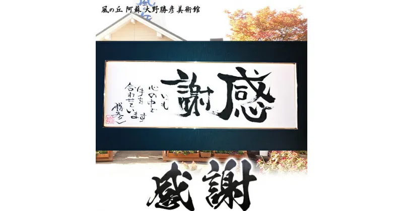 【ふるさと納税】大野勝彦 短冊額『感謝』文字 風の丘阿蘇大野勝彦美術館《60日以内に出荷予定(土日祝を除く)》美術館 詩