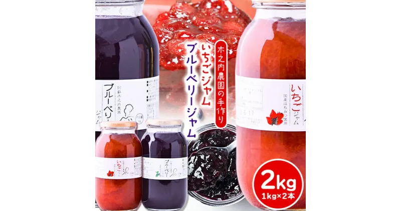 【ふるさと納税】果実ぎっしり！木之内農園の手作りいちごジャムとブルーベリージャム　2kg（1kg×2本）《30日以内に出荷予定(土日祝を除く)》 熊本県南阿蘇村 イチゴ 苺 減農薬 大粒 ブルーベリー 乗せるジャム