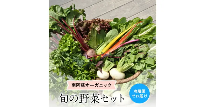 【ふるさと納税】南阿蘇オーガニック 旬の野菜セット10種類以上詰め合わせ《30日以内に出荷予定(土日祝除く)》熊本県 南阿蘇村 野菜 カブ ビーツ サニーレタス クレソン ブロッコリー 水前寺菜 ほうれん草2種 チンゲン菜 春菊 スイスチャード