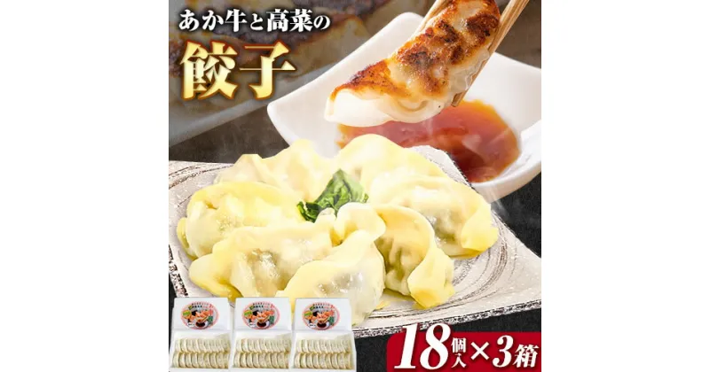 【ふるさと納税】あか牛と高菜の餃子 18個入り×3箱 南阿蘇物産センター《30日以内に出荷予定(土日祝除く)》熊本県 南阿蘇村 肉 牛 うし 牛肉 あか牛 高菜 たかな 餃子