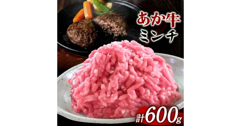 【ふるさと納税】あか牛 ミンチ600g (300g×2パック) あか牛の館《60日以内に出荷予定(土日祝を除く)》あか牛の館 熊本県 南阿蘇村