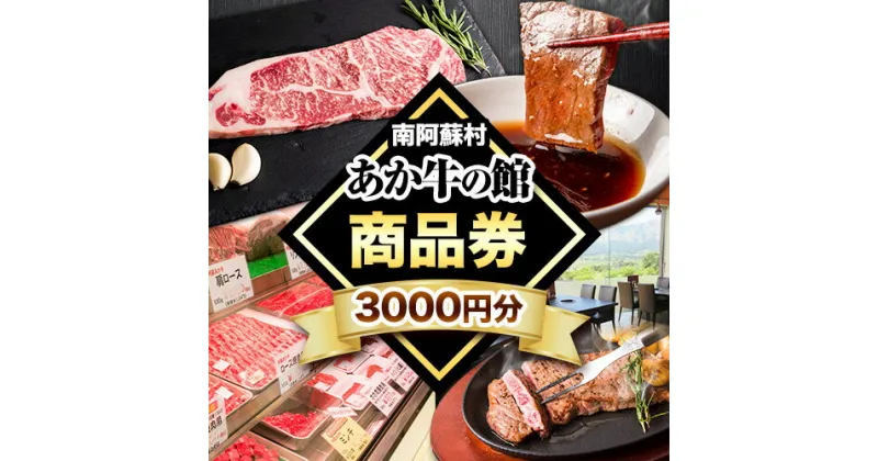 【ふるさと納税】南阿蘇村 あか牛の館 商品券 3000円分(1000円×3枚) 《30日以内に出荷予定(土日祝を除く)》熊本県 南阿蘇村 あか牛 レストラン 牛 牛肉 肉 焼肉 ステーキ 送料無料