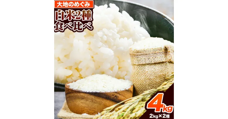 【ふるさと納税】令和5年産 白米2種食べ比べセット 4kg(2kg×2種)《60日以内に出荷予定(土日祝を除く)》 熊本県 南阿蘇村 熊本県産 白米 2種 食べ比べ ミルキークイーン ササニシキ ひとめぼれ MIYABIO