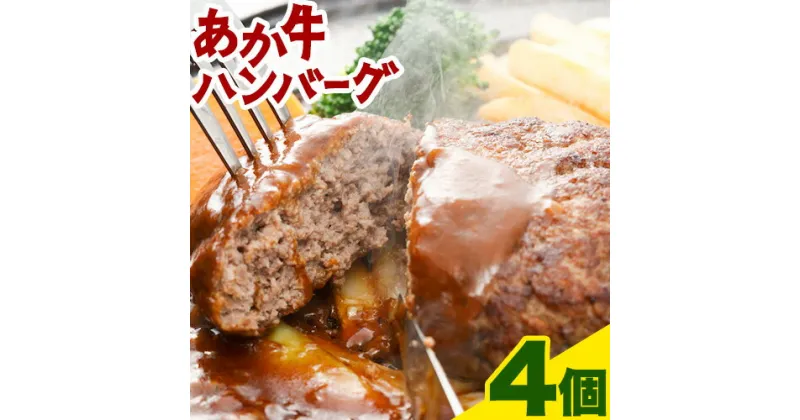 【ふるさと納税】あか牛 ハンバーグ4個（150g×4個） トライウィン《90日以内に出荷予定(土日祝除く)》 熊本県 南阿蘇 あかうし 赤牛 ハンバーグ 惣菜 肉 牛肉 あか牛