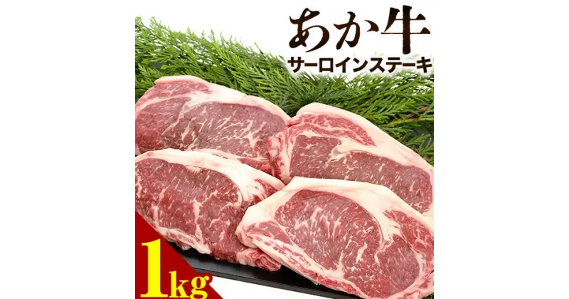 【ふるさと納税】あか牛 サーロインステーキ 1kg（200g×5枚） トライウィン《90日以内に出荷予定(土日祝除く)》 熊本県 南阿蘇 あかうし 赤牛 ステーキ 肉 牛肉 あか牛