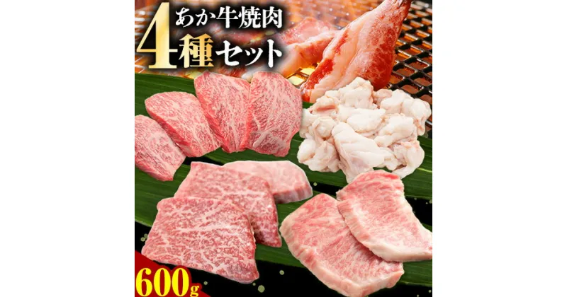 【ふるさと納税】あか牛 お手軽 焼肉セット 4種類 計600g モモ 100g ロース 100g カルビ 100g ホルモン 300g トライウィン《90日以内に出荷予定(土日祝除く)》 熊本県 南阿蘇 あかうし 赤牛 焼肉 やきにく 肉 牛肉 あか牛