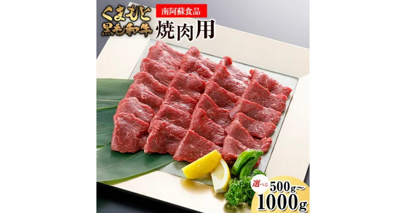 【ふるさと納税】くまもと黒毛和牛 焼肉用 500g 1000g《90日以内に出荷予定(土日祝除く)》 南阿蘇食品