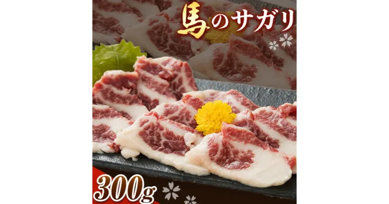 【ふるさと納税】馬のサガリ 300g 桜屋《30日以内に出荷予定(土日祝除く)》 熊本県 南阿蘇村 送料無料 馬刺し 馬肉 肉 サガリ