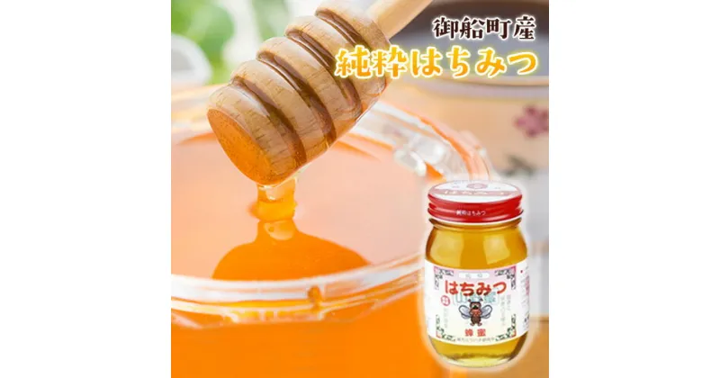 【ふるさと納税】熊本県御船町産 純粋はちみつ600g 御船町観光協会 《30日以内に出荷予定(土日祝除く)》