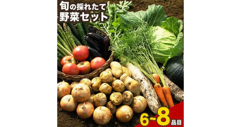 【ふるさと納税】旬の新鮮野菜たっぷり 選べる 6 8品セット★ 定期便も選べる 旬の野菜セット 冷蔵 詰め合わせ 季節の野菜 安心・安全の野菜セット 御船町産《30日以内に出荷予定(土日祝除く)》