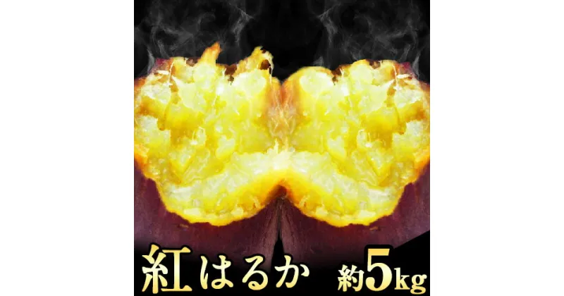 【ふるさと納税】紅はるか 約5kg《30日以内に出荷予定(土日祝除く)》熊本県 御船町 秋 旬 野菜 有限会社ニシムラ