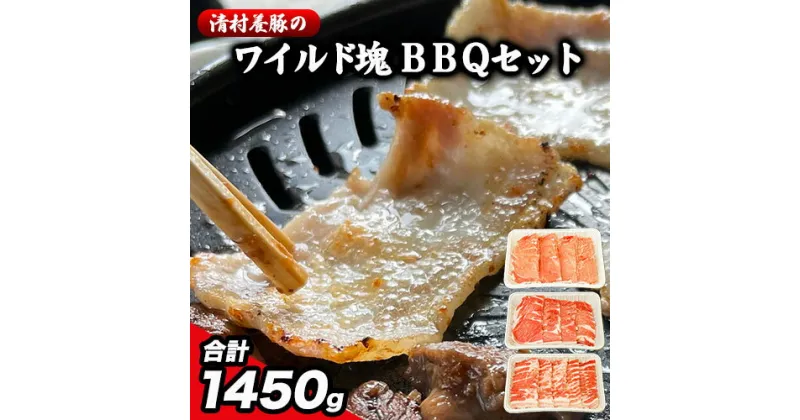 【ふるさと納税】ワイルド塊BBQセット 計1450g 清村養豚《30日以内に出荷予定(土日祝除く)》 豚 肉 冷凍 小分け 熊本県御船町 カタ モモ バラ バーベキュー 熊本 御船