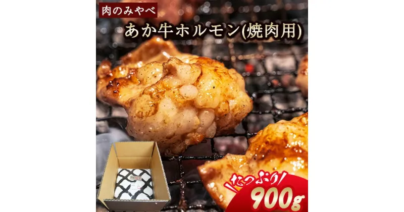 【ふるさと納税】熊本県産 あか牛 焼肉 ホルモン 900g 肉のみやべ《120日以内に出荷予定(土日祝除く)》熊本県産 熊本県 御船町