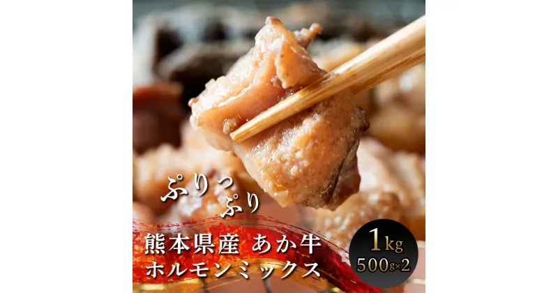 【ふるさと納税】あか牛味付けホルモン 計1kg(500g×2パック) ブランド牛 あか牛 味付 ホルモン アカセンマイ 小腸 牛 小分け 冷凍 おつまみ 焼き肉 バーベキュー BBQ アウトドア FKK19-217