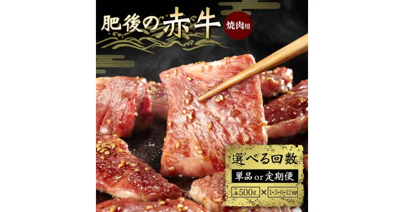 【ふるさと納税】《回数が選べる》肥後の赤牛 焼肉用 500g＜1回or3ヶ月or6ヶ月or12ヶ月or定期便＞ 定期便 ブランド牛 黒毛和牛 赤身 牛肉 牛 肉 ご当地 グルメ お祝い 食品 FKK19-838var