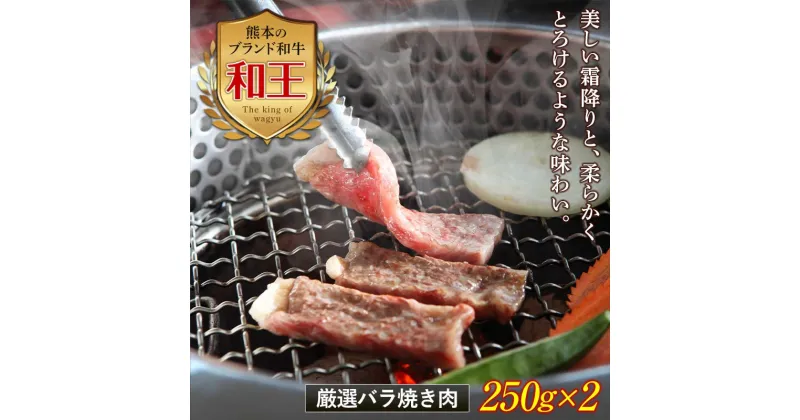 【ふるさと納税】熊本和王 厳選バラ焼き肉 計500g(250g×2) 黒毛和牛 和王 ブランド牛 バラ 焼き肉 焼肉 小分け 牛肉 牛 肉 ご当地 グルメ 食品 FKK19-530