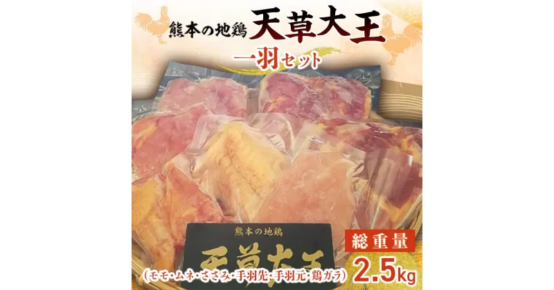 【ふるさと納税】天草大王 一羽セット(総重量2.5kg) ブランド地鶏 天草大王 地鶏 鶏肉 モモ ムネ ささみ 手羽先 手羽元 鶏ガラ セット 詰合せ ご当地 グルメ 食品 FKK19-201