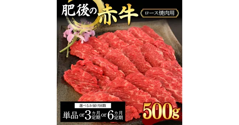 【ふるさと納税】《回数が選べる》肥後の赤牛ロース 焼肉用500g＜1回or3ヶ月or6ヶ月定期便＞ 定期便 ブランド牛 黒毛和牛 赤身 牛肉 牛 肉 ご当地 グルメ お祝い 食品 FKK19-885var