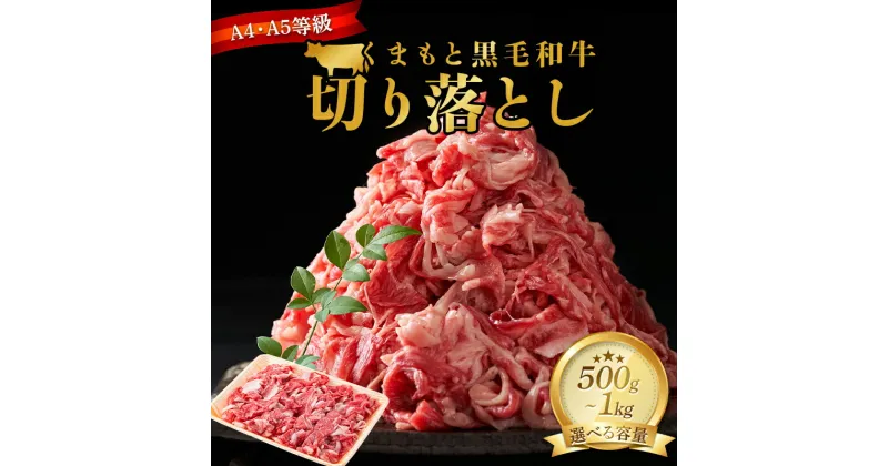 【ふるさと納税】＼容量が選べる／ ＜A4～A5＞ くまもと黒毛和牛切り落とし 500g 1kg ブランド牛 和牛 牛肉 赤身 牛 肉 ご当地 グルメ 食品 FKK19-929var