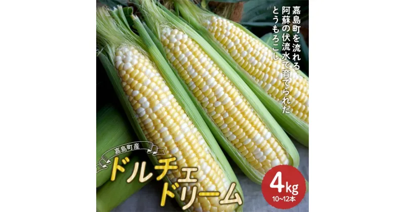 【ふるさと納税】【先行予約】嘉島町産ドルチェドリーム4kg ※令和7年4月中旬より発送開始 野菜 とうもろこし トウモロコシ 甘い ジューシー ドルチェドリーム 嘉島町 FKK19-939