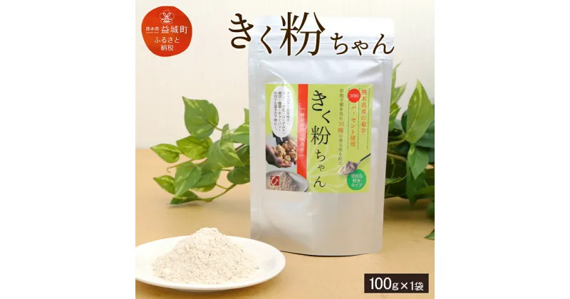 【ふるさと納税】きく粉ちゃん 100g 熊本県産 九州産 国産 菊芋 キクイモ イヌリン 腸内フローラ パウダー 食物繊維 送料無料