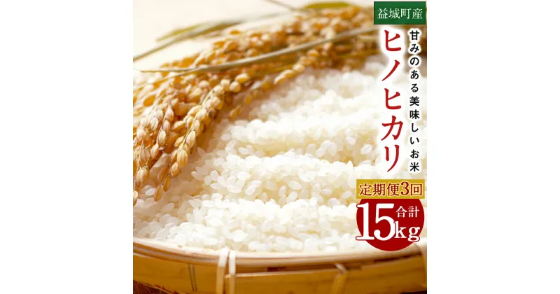 【ふるさと納税】【3回定期便】熊本 益城町産ヒノヒカリ 5kg×年3回 合計15kg ひのひかり お米 熊本県産 九州産 国産 数量限定 送料無料