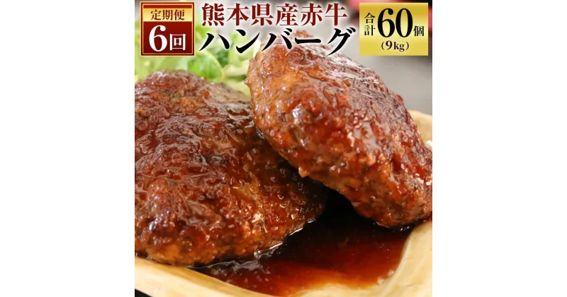 【ふるさと納税】定期便 6回 熊本県産赤牛ハンバーグ 150g×10個×6ヶ月 合計60個 合計9kg 9000g 牛肉 お肉 ハンバーグ 冷凍 国産 送料無料