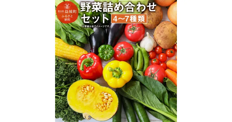 【ふるさと納税】季節の野菜詰め合わせセット 4〜7種類 セット おまかせ 野菜 冷蔵 熊本県産 国産 九州産 春 旬 春野菜 送料無料