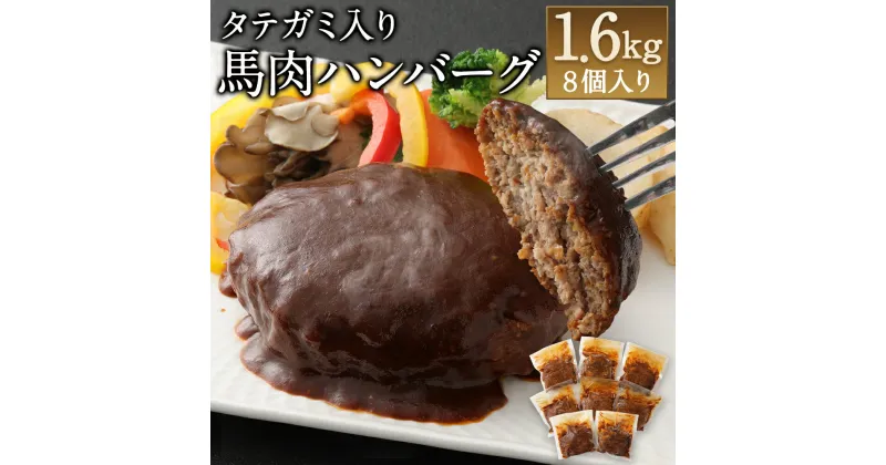 【ふるさと納税】タテガミ入り馬肉ハンバーグ 8個セット 合計約1.6kg 200g×8個 デミグラスソース ハンバーグ 菅乃屋 千興ファーム 馬肉 惣菜 おかず 真空パック 冷凍 送料無料