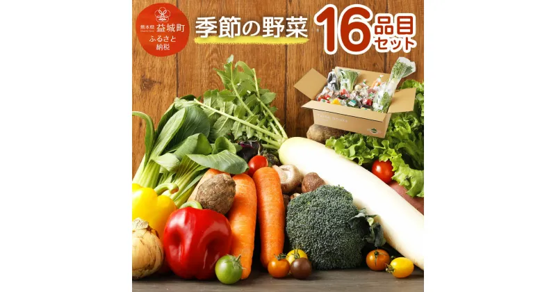 【ふるさと納税】季節の野菜 16品目 セット 野菜 やさい 詰め合わせ 旬の野菜 ランダム おまかせ 冷蔵 国産 春 旬 春野菜 送料無料