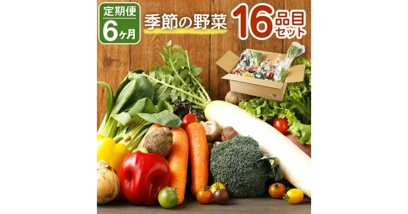 【ふるさと納税】【定期便6回】 季節の野菜 16品目 セット 定期便 6ヶ月連続 野菜 やさい 詰め合わせ 旬の野菜 ランダム おまかせ 冷蔵 国産 春 旬 春野菜 送料無料